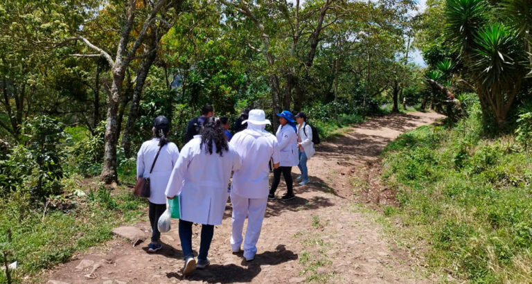 Trabajo Articulado en Territorio: Impacto del Diplomado Gestión del MOSAFC a nivel local en la Prevención de Enfermedades