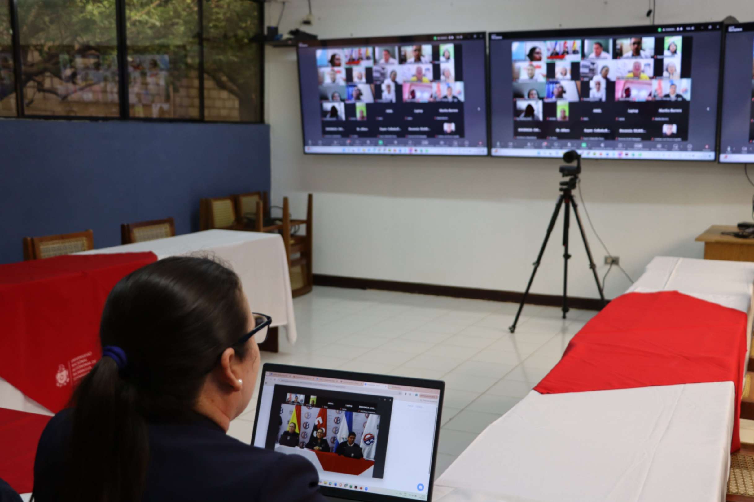 Docente-investigadora del CIES imparte primera sesión del curso virtual de docencia en salud